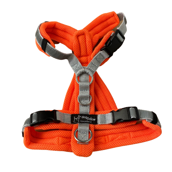 Dogfellow Secure Easy S leuchtorange/silber + geteilter Steg - Sofortkauf