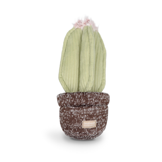 Futterspielzeug CACTUS Kaktus