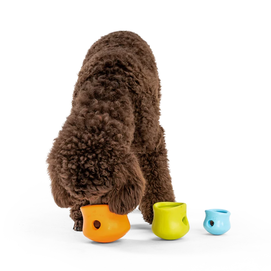 West Paw Toppl Futterspielzeug