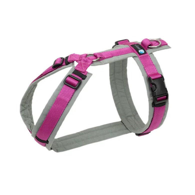 Annyx Hundegeschirr Fun in grau/pink