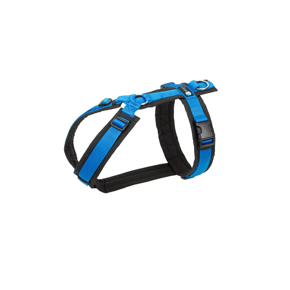 Annyx Fun L schwarz-blau - gebraucht