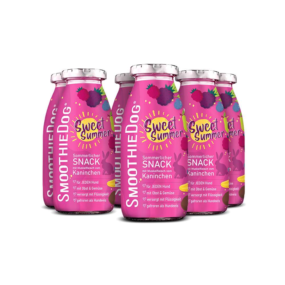 SmoothieDog Summer Edition 2023