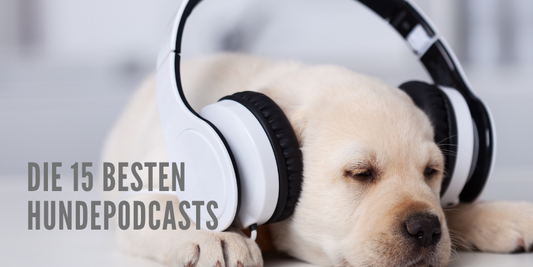 Die 15 besten Hunde-Podcasts