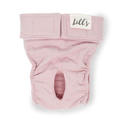 Läufigkeitshöschen aus Bio-Baumwolle „Lou“ von Lill‘s
