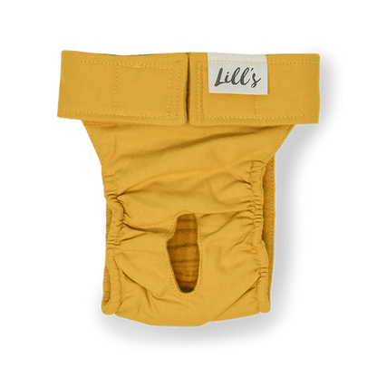 Läufigkeitshöschen aus Bio-Baumwolle „Lou“ von Lill‘s