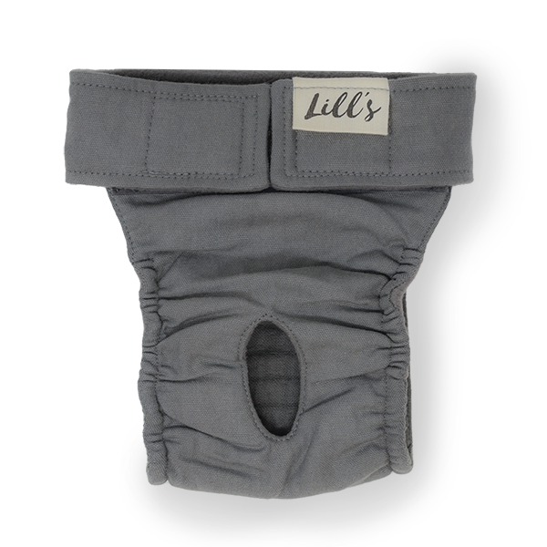 Läufigkeitshöschen aus Bio-Baumwolle „Lou“ von Lill‘s