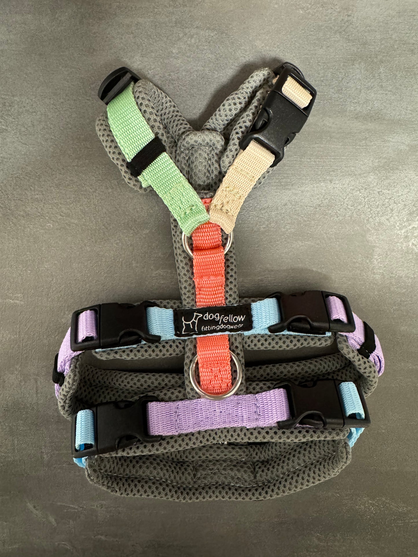 Dogfellow No Escape Easy 3XS grau/pride - Sofortkauf