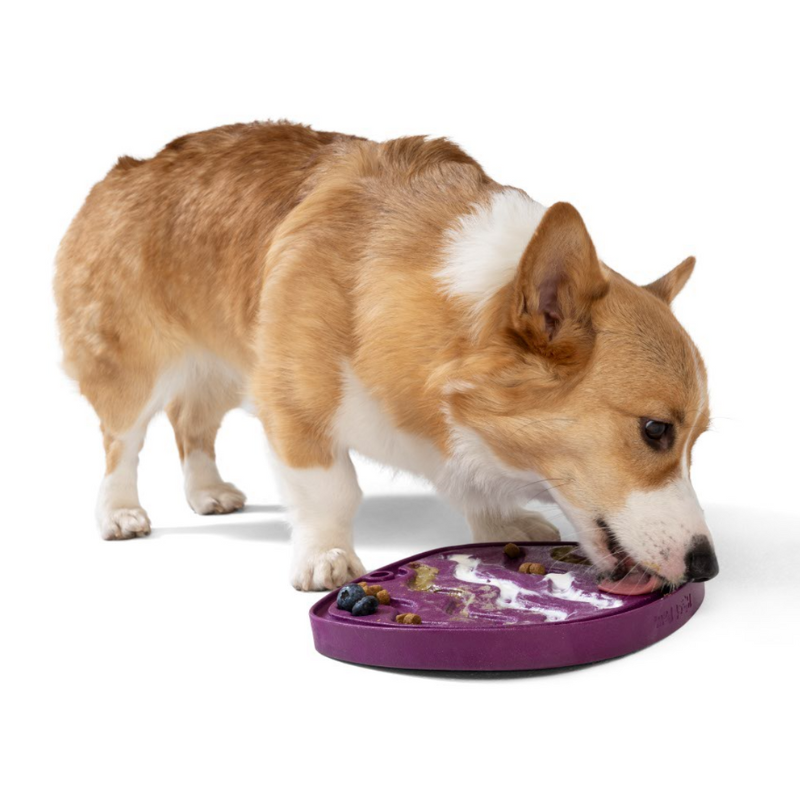 Schleckmatte & Slowfeeder WestPaw Dog Seaflex Feast Mat