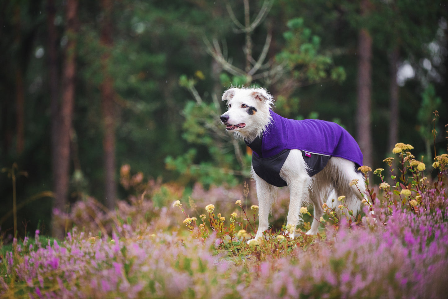 Fleece Overall Pomppa Jumppa