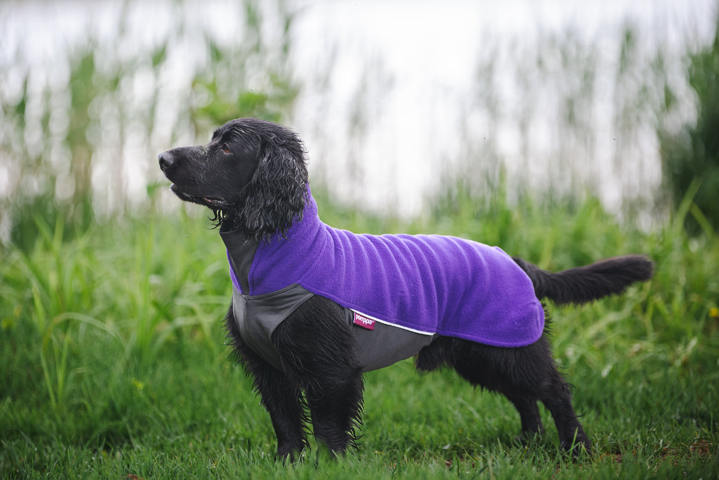 Fleece Overall Pomppa Jumppa