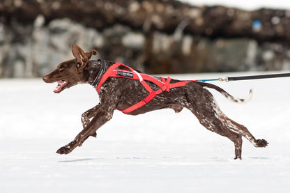 Zuggeschirr Combined Harness