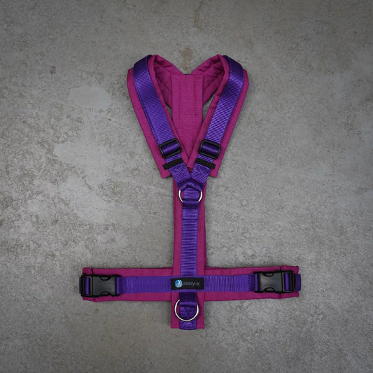 Annyx Hundegeschirr Fun Sonderedition beere/veilchen