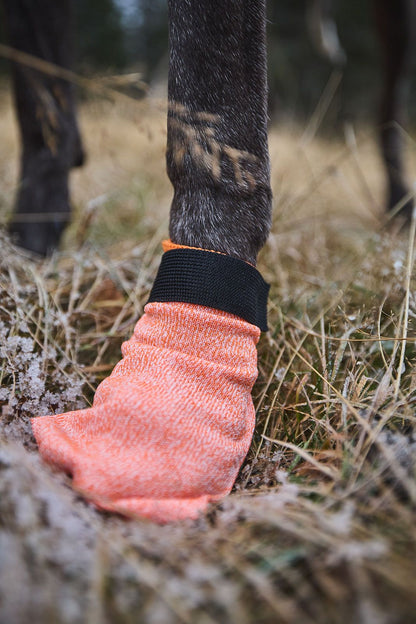 Hundeschuhe Protector Light Socks