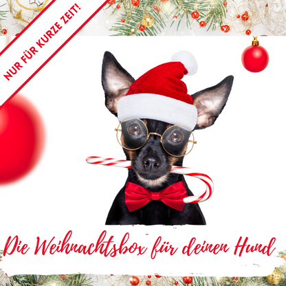 Last Minute Weihnachtsbox 2022