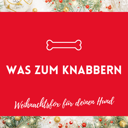 Last Minute Weihnachtsbox 2022