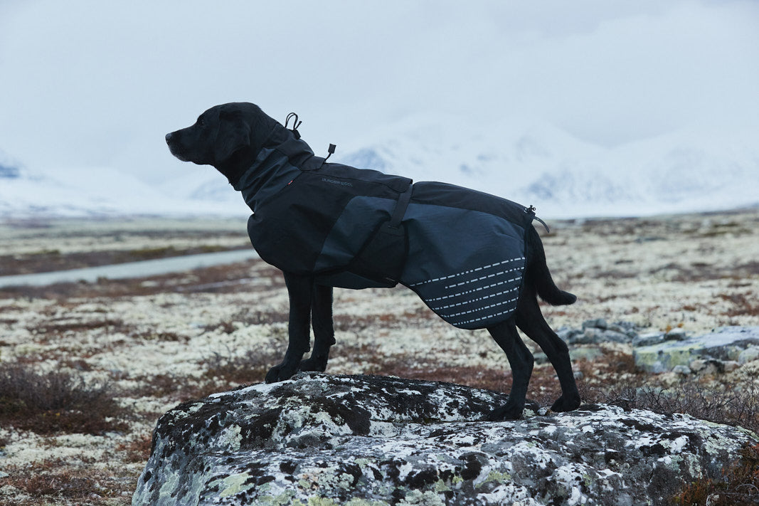 Non-Stop Dogwear Glacier Wool Jacket