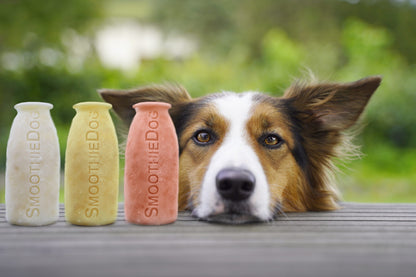 Eisform SmoothieDog