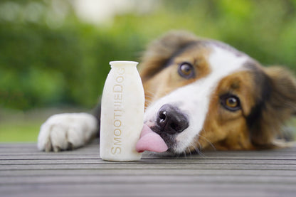 Eisform SmoothieDog