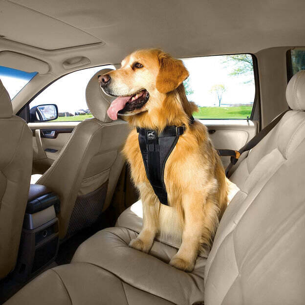Auto-Sicherheitsgeschirr Tru-Fit Smart Harness