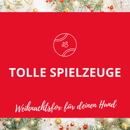 Last Minute Weihnachtsbox 2022