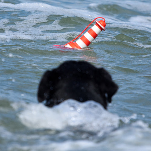 Rogz Wurf- und Wasserspielzeug Leuchtturm