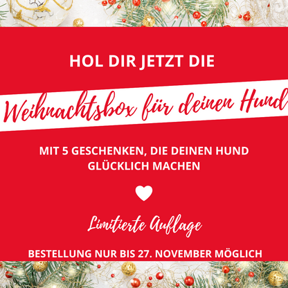 Last Minute Weihnachtsbox 2022