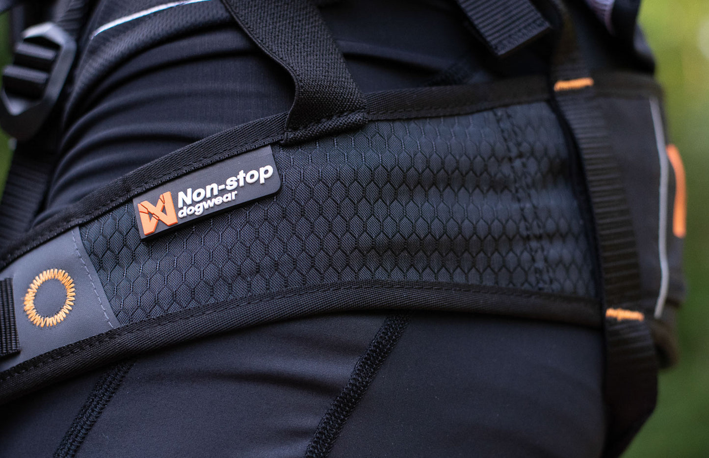 Laufgürtel Canix Belt