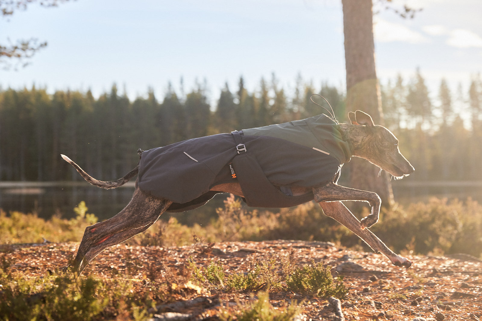 glacier_wool_jacket_2_0_setting_1