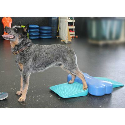 FitPAWS® Dog Balance Ramp