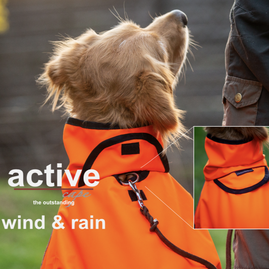 ACTIVE cape WIND & RAIN